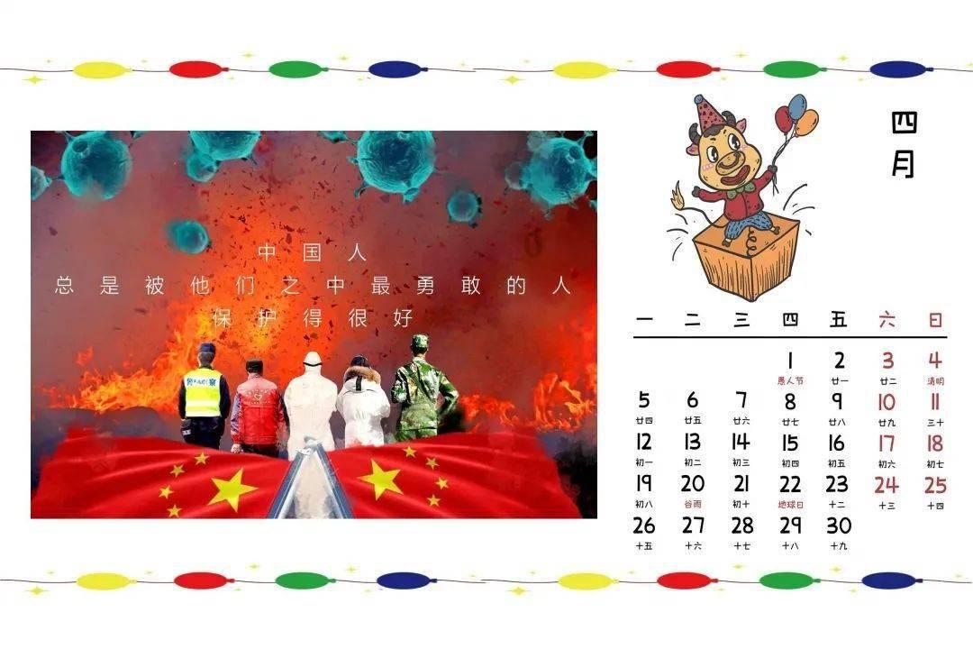 8000多元的柯尔鸭被阿姨当野鸭子抓走准备加餐 在厨房找回